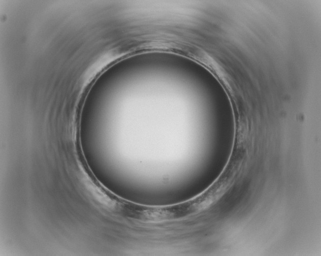 X0000089400795200706151225