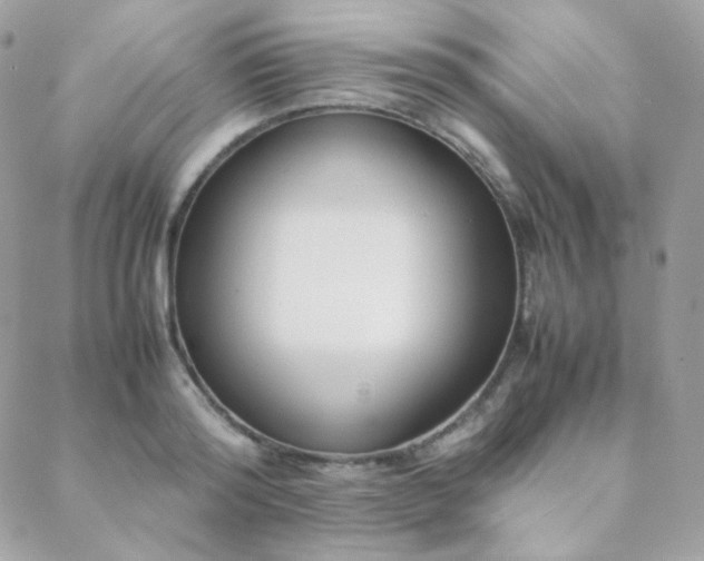 X0000089400796200706151225
