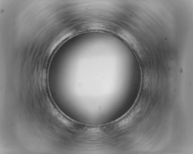X0000089400798200706151225