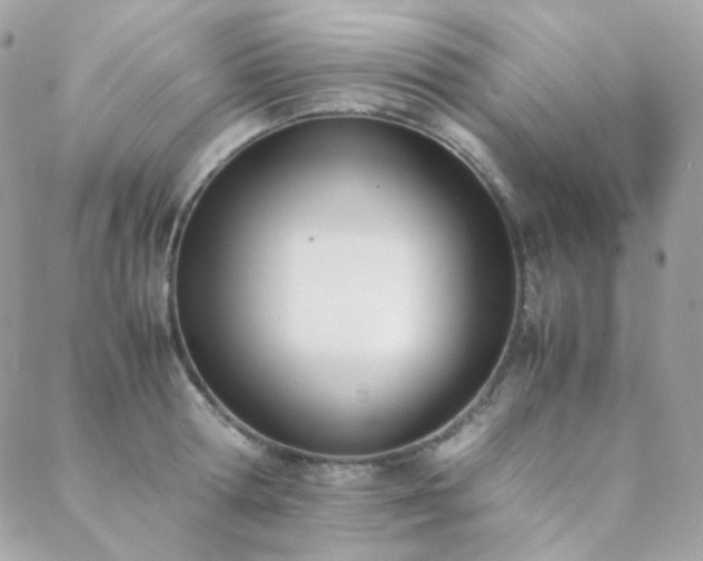 X0000089400802200706151225