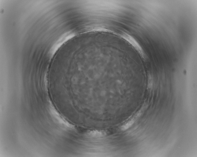 X0000089400806200706151225