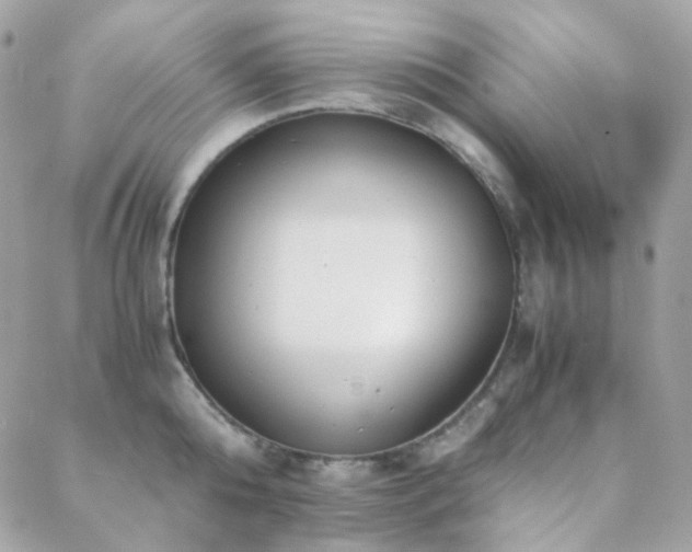 X0000089400808200706151225