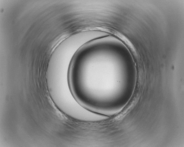 X0000089400809200706151225