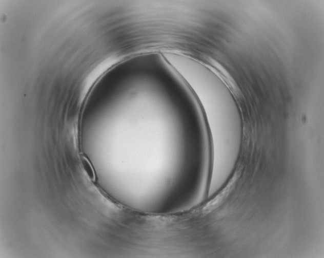 X0000089400812200706151225