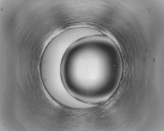 X0000089400813200706151225