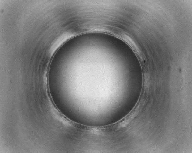 X0000089400814200706151225