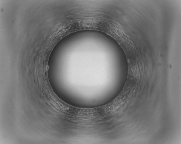 X0000089400817200706151224