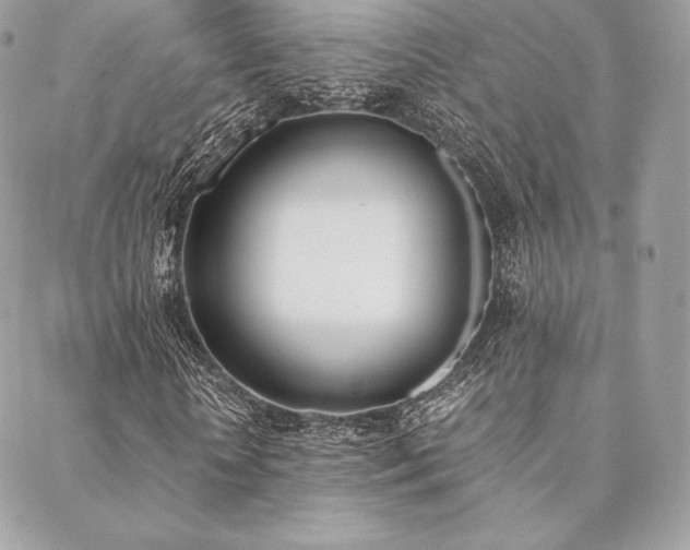 X0000089400818200706151224