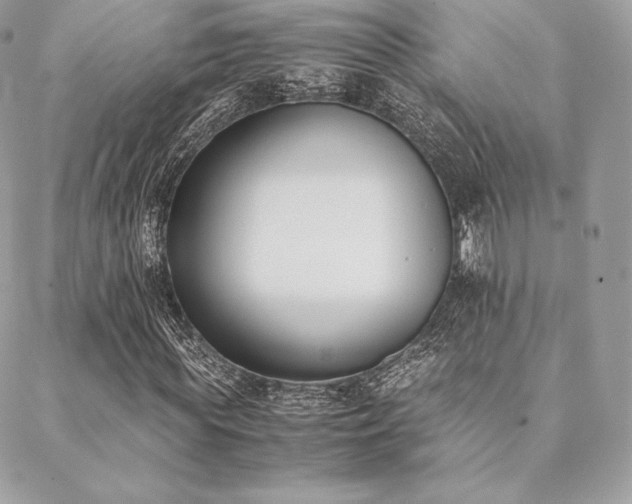 X0000089400819200706151224
