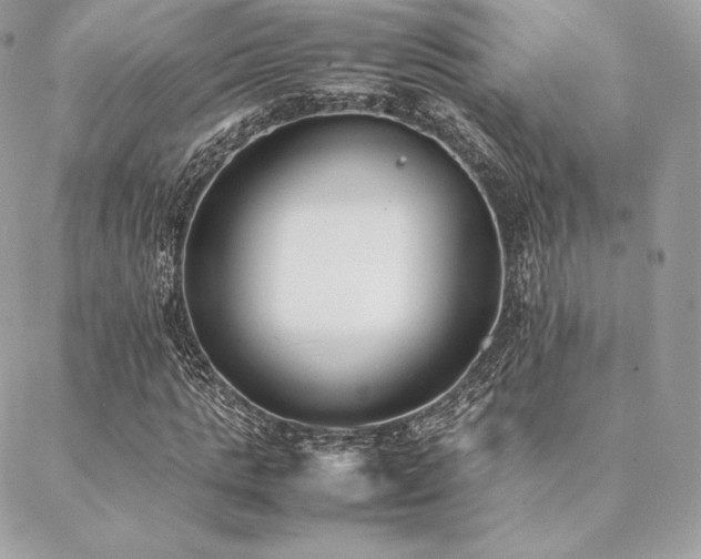 X0000089400821200706151224
