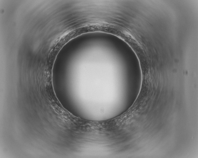X0000089400822200706151224