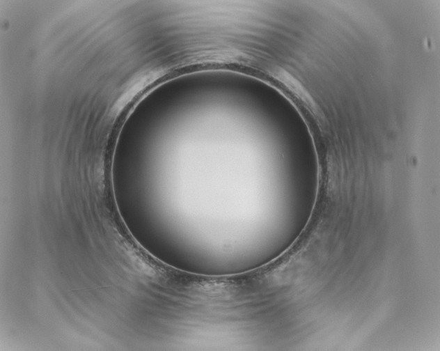 X0000089400834200706151224