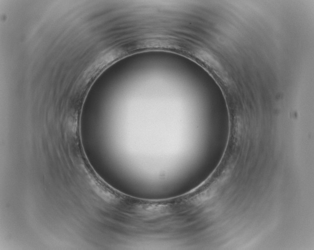 X0000089400841200706151225