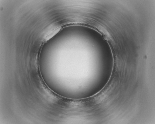X0000089400842200706151225