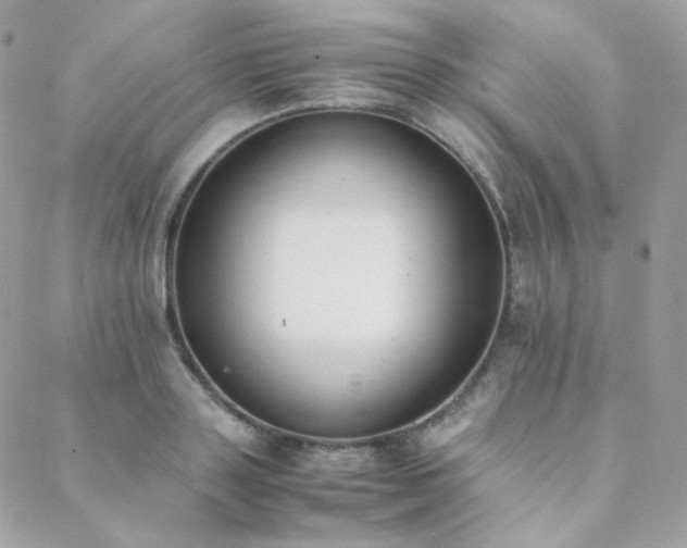 X0000089400843200706151225