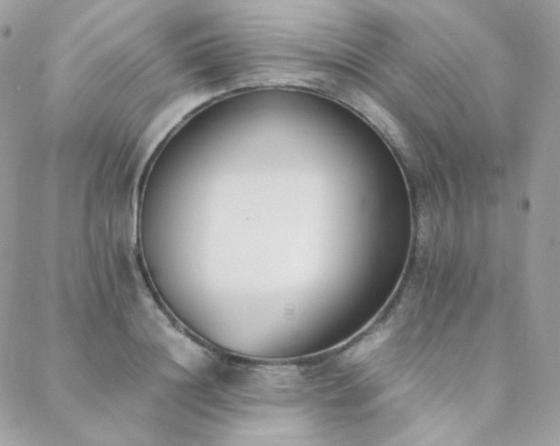 X0000089400844200706151225