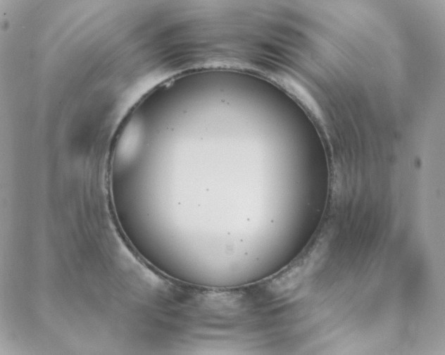 X0000089400847200706151225