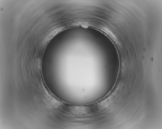 X0000089400849200706151225
