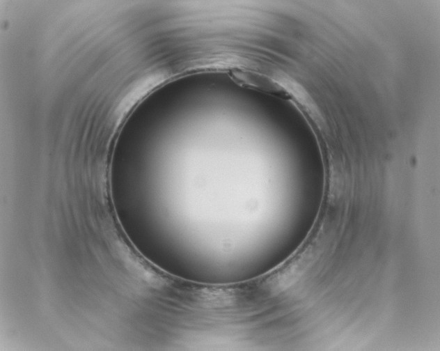 X0000089400850200706151225