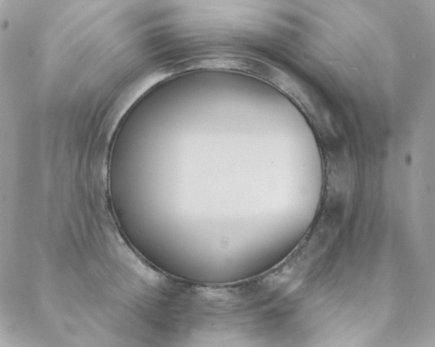 X0000089400852200706151225