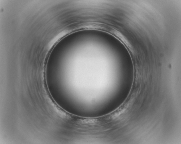 X0000089400853200706151225