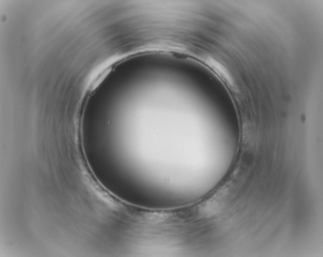 X0000089400854200706151225