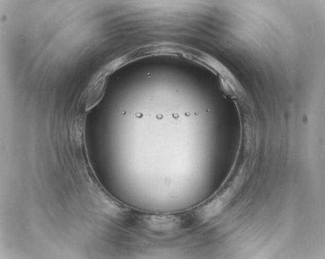 X0000089400857200706151225