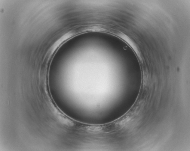 X0000089400861200706151225