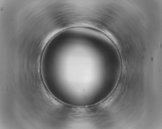 X0000089400862200706151225