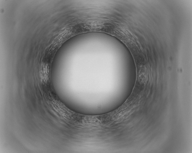 X0000089400866200706151224