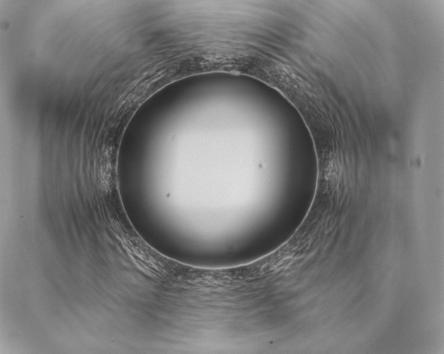 X0000089400868200706151224