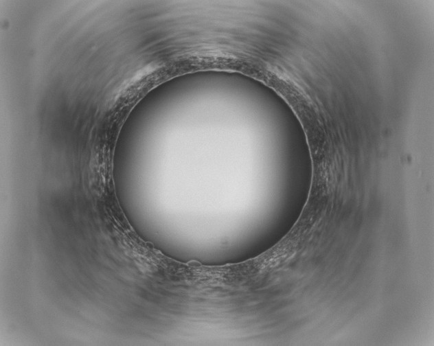 X0000089400870200706151224
