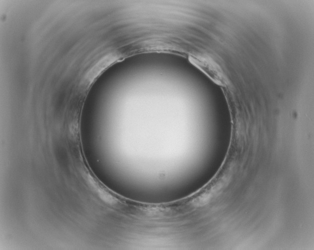 X0000089400897200706151224