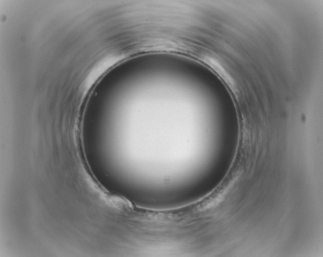 X0000089400901200706151224