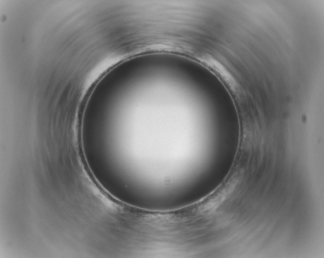 X0000089400902200706151224