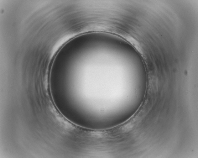 X0000089400904200706151223