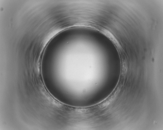 X0000089400908200706151223