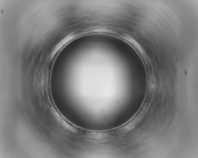 X0000089400910200706151223