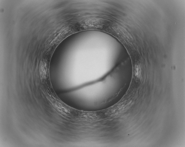 X0000089400915200706151223