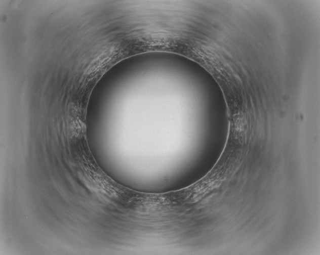 X0000089400916200706151223