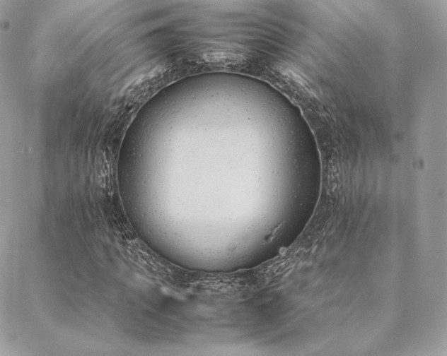 X0000089400917200706151223