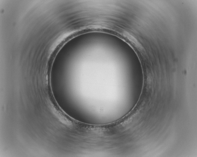 X0000089400934200706151223