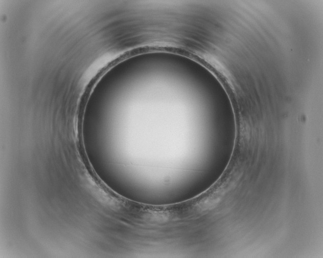 X0000089400935200706151223