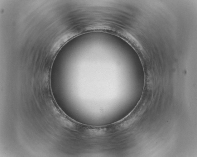 X0000089400937200706151223