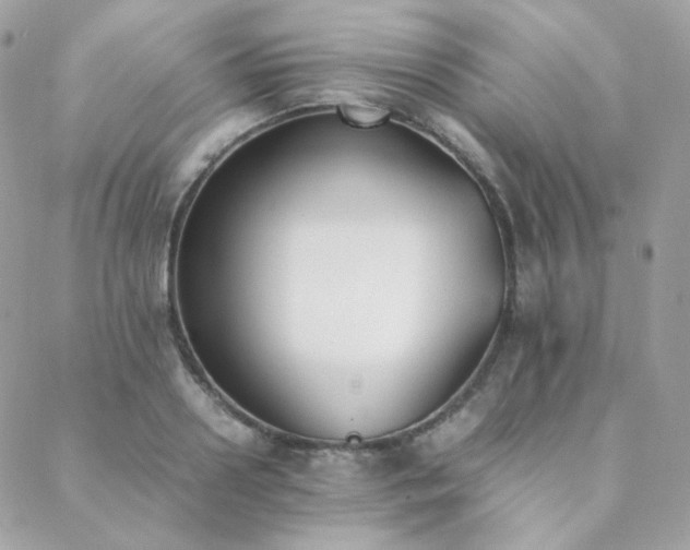 X0000089400938200706151223