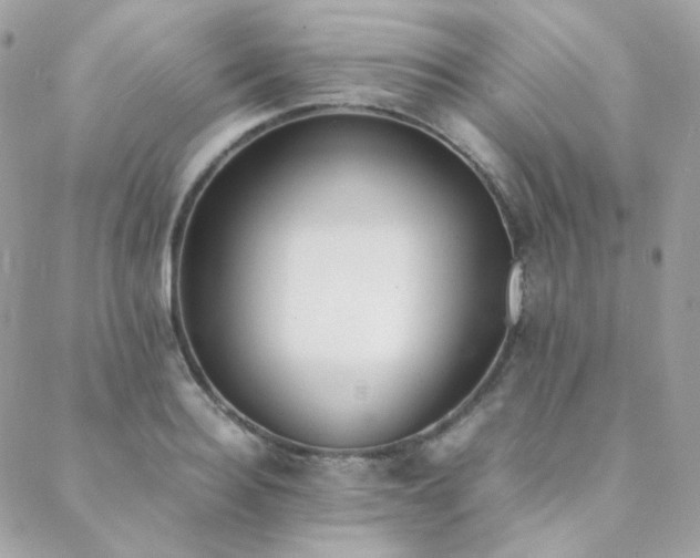 X0000089400940200706151223