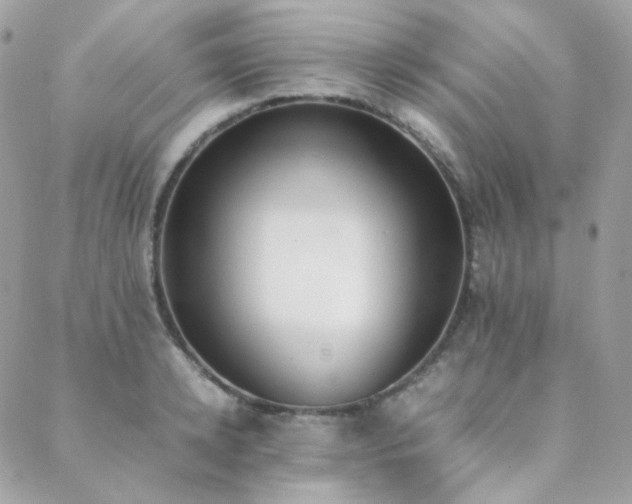 X0000089400942200706151223
