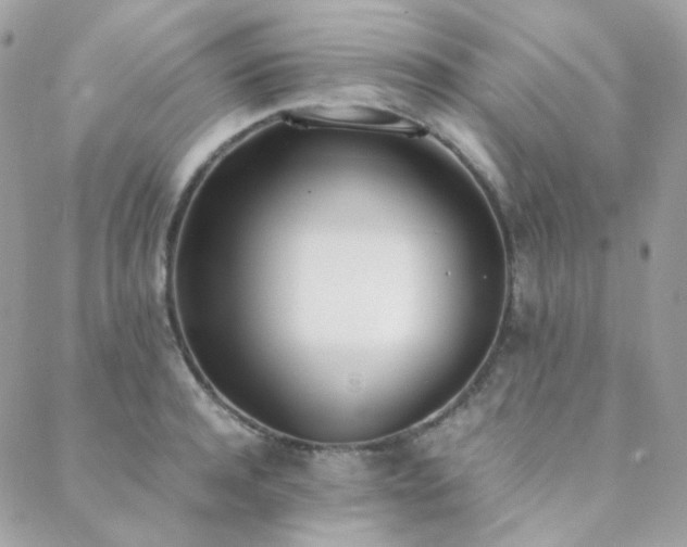 X0000089400944200706151223