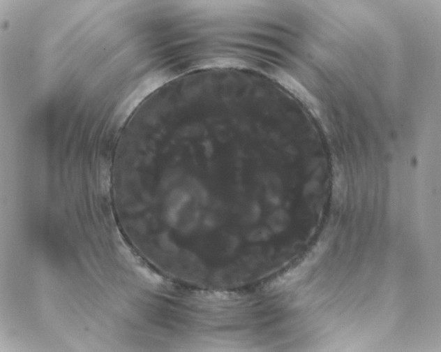 X0000089400945200706151223