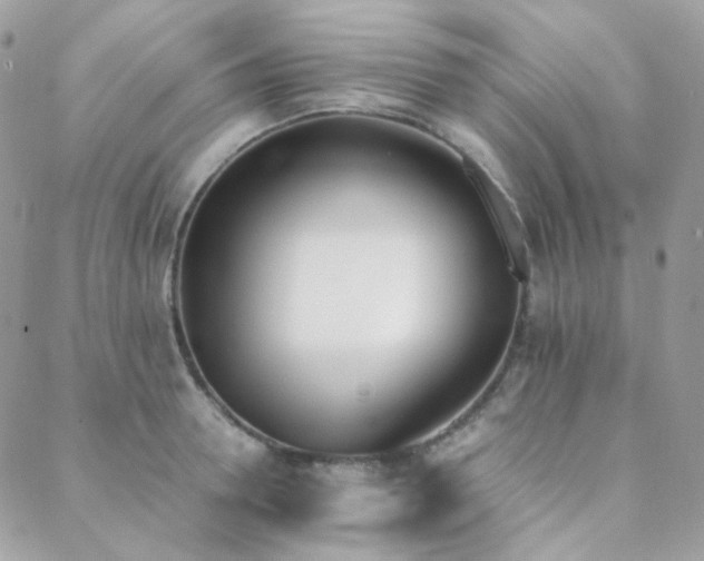 X0000089400946200706151223